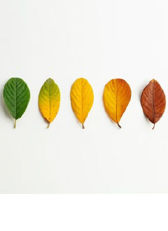 planning-for-longevity-with-life-insurance